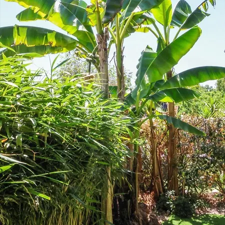Le Jardin, Jacuzzi & Terrasse Abrites, A Proximite